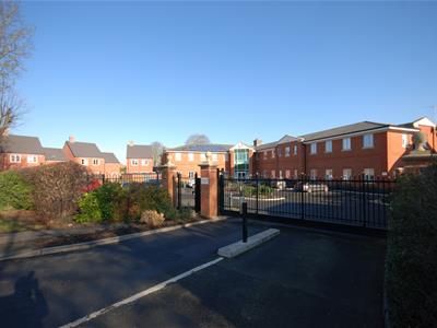 Picture 15